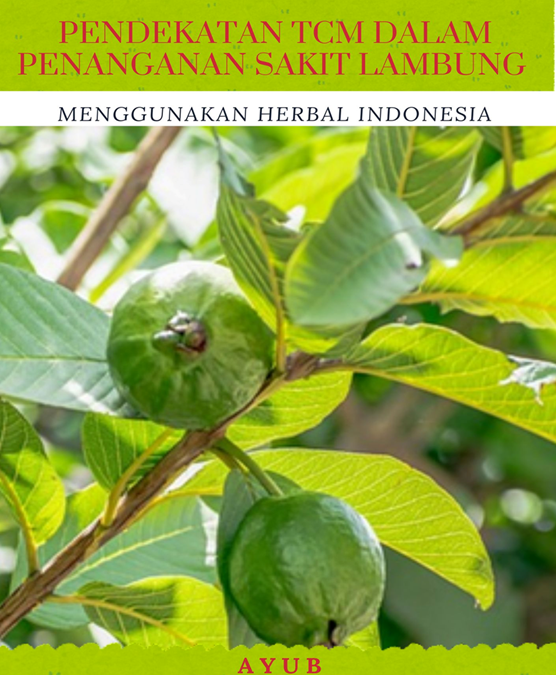Pendekatan TCM dalam Penanganan Sakit Lambung Menggunakan Herbal Indonesia